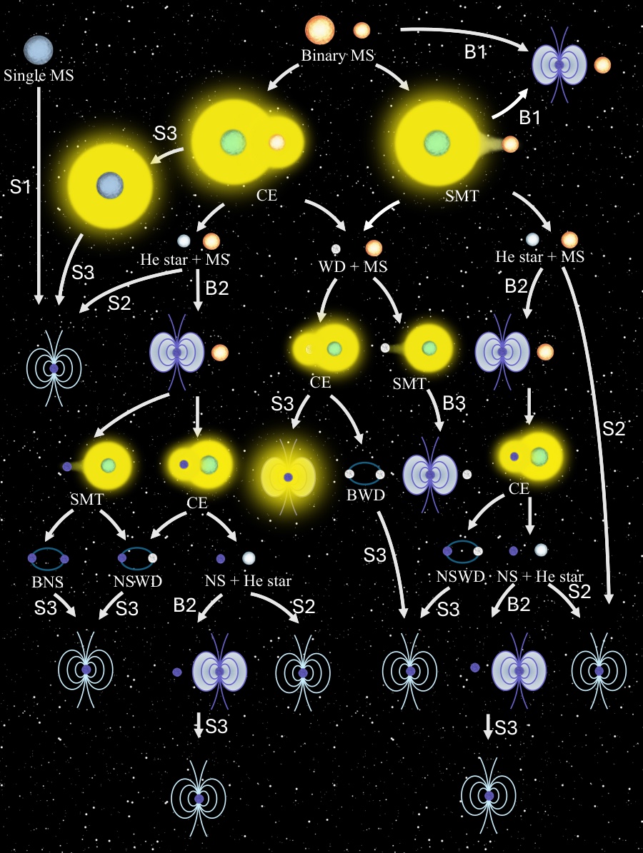 Flowchart showing the single-star and isolated-binary pathways that can produce isolated and binary magnetars